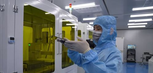 基礎研究助力，中國企業斬獲國際雙料冠軍——新型膜材料市場銷售與技術創新的共贏之路